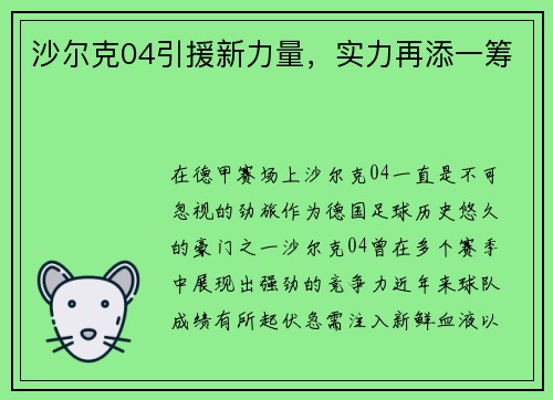 沙尔克04引援新力量，实力再添一筹