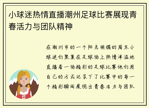 小球迷热情直播潮州足球比赛展现青春活力与团队精神
